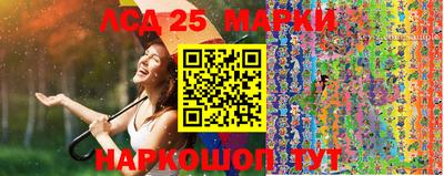 прущие грибы Краснодар