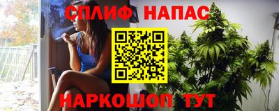 прущие грибы Краснодар