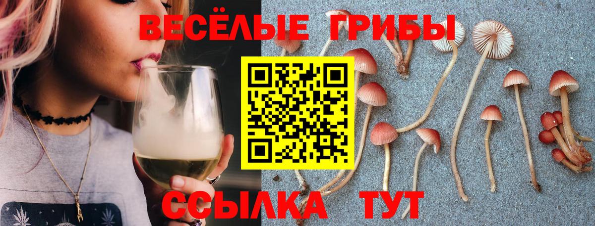 Галлюциногенные грибы GOLDEN TEACHER  Псилоцибиновые грибы Magic Shrooms  Вход с VPN  Великий Новгород 